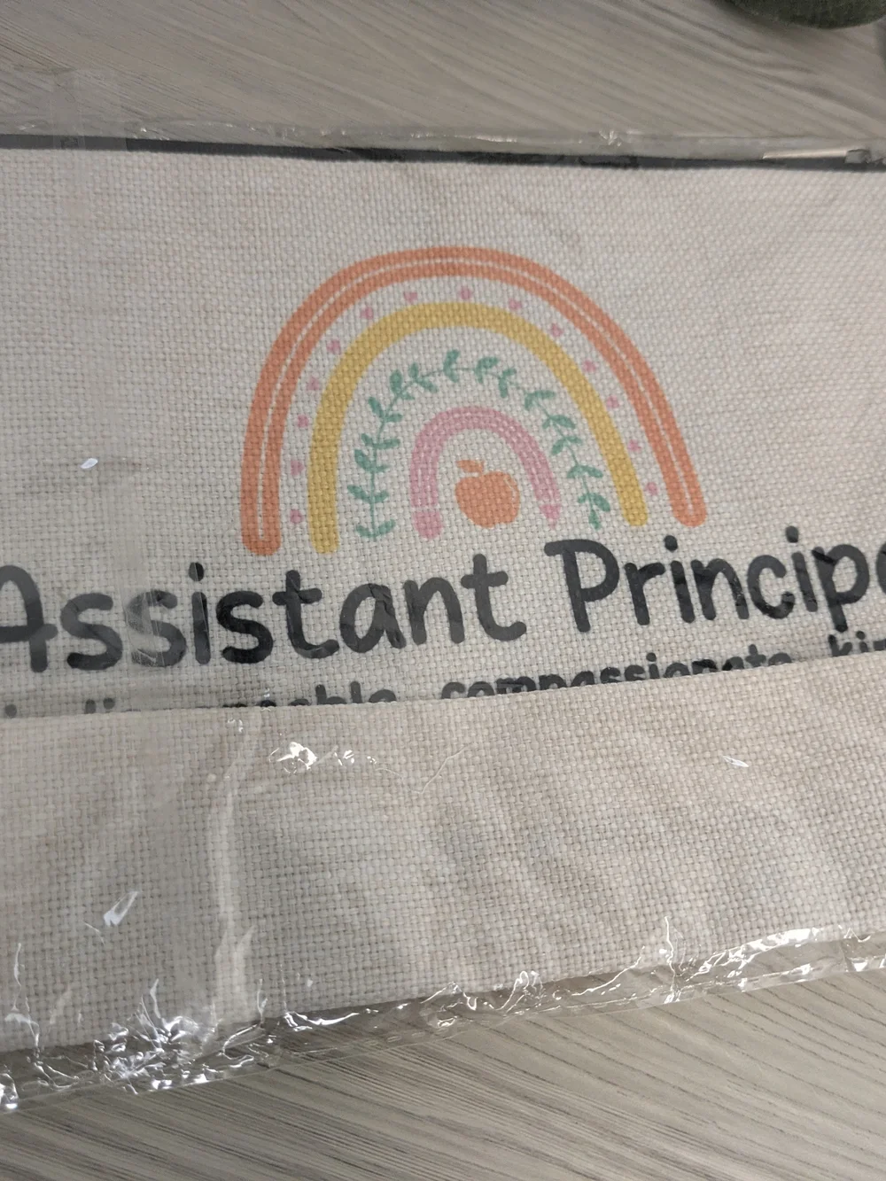 Assistant Principal Make Up Cosmetic Canvas Bag